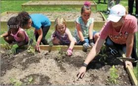  ?? MICHILEA PATTERSON — DIGITAL FIRST MEDIA ?? Barth Elementary classroom aide Cory Derer helps kindergart­en students plant tomatoes in a plot at the school’s new community garden. The garden will be used for classroom education as well as for use by the community.