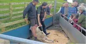  ??  ?? The Moredun and Farmers Network livestock event in Cumbria.