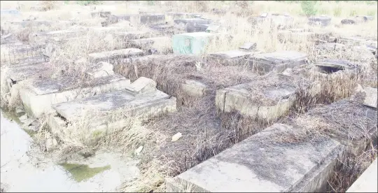  ??  ?? A Stabroek News file photo shows broken and cracked tombs in the neglected Le Repentir cemetery