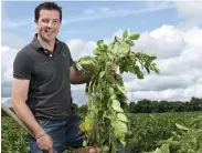 ??  ?? Tom Keogh of Keogh’s Crisps with some of his potato crop