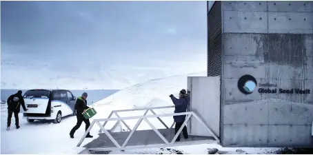  ?? CREDIT: GETTY IMAGES ?? Norway’s Svalbard Global Seed Vault inspired the concept of a microbioti­c vault.