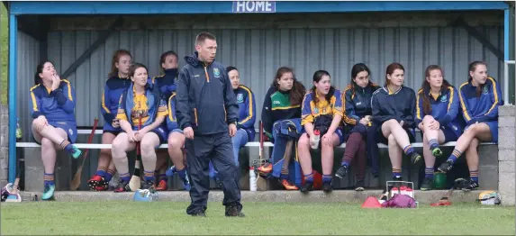  ?? Photo: Dave Barrett ?? Wicklow manager Brendan Phelan at the Louth v Wicklow Leinster Junior Camogie semi-final in Dunleer.