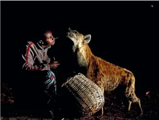  ?? PHOTO: REUTERS ?? Abbas Yusuf, 23, known as Hyena Man, feeds a hyena on the outskirts of Harar, Ethiopia.