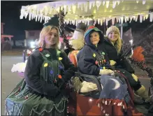  ?? PHOTO BY MIKE DETMER ?? Parade goers enjoy the 2nd annual Vienna Christmas Parade.