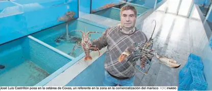  ?? FOTO PARDO ?? José Luis Castrillón posa en la cetárea de Covas, un referente en la zona en la comerciali­zación del marisco