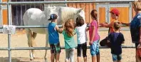  ?? Foto: Fred Schöllhorn ?? Vor allem Kinder lieben Gut Morhard und besuchen häufig Schafe, Zie gen, Pferde und Kaninchen oder Hühner.