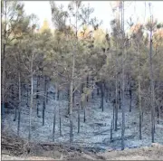  ??  ?? Left: Plumes from several fires could be seen on Sunday along the top of Treat Mountain in southwest Polk County from near the end of the Highway 27 South bypass around Cedartown. Fires continued to send smoke up over Polk County throughout last week,...