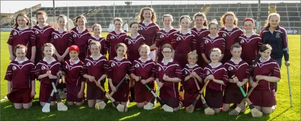  ??  ?? The victorious squad from Bunclody prior to their Rackard League Roinn ‘A’ camogie triumph.