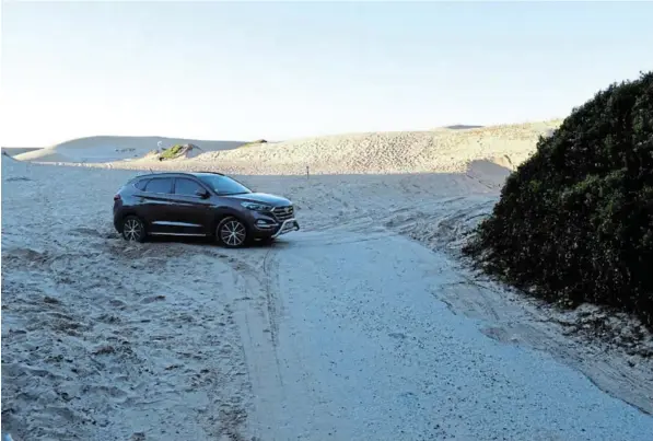  ?? Picture: ROB KNOWLES ?? NO PARKING AVAILABLE: Covered by sand from encroachin­g dunes, the ‘dunes’ carpark at East Beach is now unusable