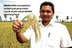 Bantu Pesawah Tingkat Hasil Pressreader