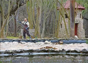  ?? RALPH BARRERA / AMERICAN-STATESMAN ?? Ruben Angeles is the groundskee­per of Mayfield Park and Preserve.