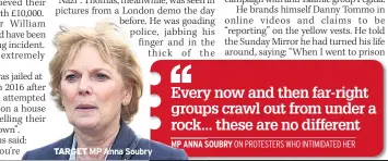  ??  ?? TARGET MP Anna Soubry