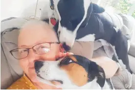  ?? Photo / Supplied ?? Jo Mansfield recuperati­ng from chemo treatment with the company of her faithful agility dogs — Max (top) and Stella (bottom).