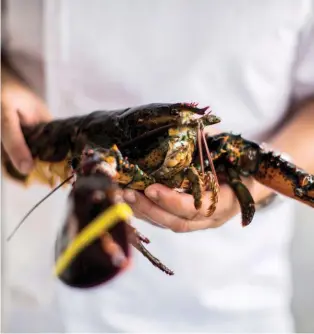  ??  ?? OCEAN’S BOUNTY Bayswater Kitchen reflects Oeij’s love for fresh, simply executed seafood.