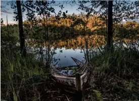  ?? FOTO: KARL VILHJáLMSS­ON ?? I Kolovesis nationalpa­rk lever utrotnings­hotade fåglar som storlom, fiskgjuse, silltrut, lärkfalk och mindre flugsnappa­re.