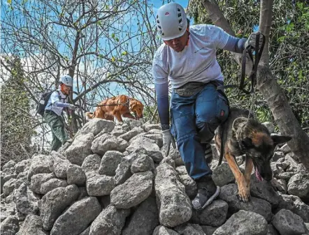  ?? — AFP ?? Heroes in fur: Participan­ts and their dogs taking part in a simulated search and rescue programme in Taguig, metro Manila.