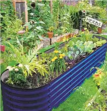  ?? OLLE ?? Olle’s 17-inch-tall raised bed (shown in cobalt blue) has 12 possible configurat­ions. The galvanized steel panels have a foodgrade coating and come with a rubber safety edge to help protect children and pets.