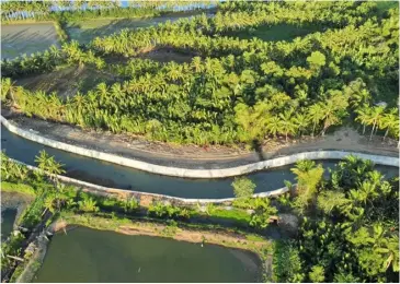  ?? PHOTOGRAPH COURTESY OF DPWH ?? THE Department of Public Works and Highways completes the flood control project which is seen to shield coastal communitie­s in Manapia town, Negros Occidental.