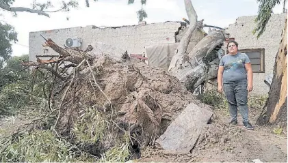  ?? ?? Partida en dos. La casa donde vive Laura quedó destrozada. Conviviero­n con el árbol así más de 20 días.