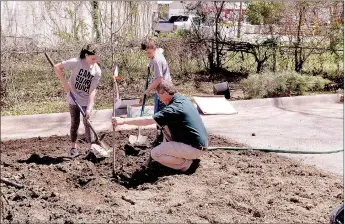  ?? RACHEL DICKERSON/MCDONALD COUNTY PRESS ?? Pineville Elementary School students Charley Rawlins (left) and Kole Lewis help John Skinner of the Missouri Department of Conservati­on plant a serviceber­ry tree at the Pineville Community Center during the Arbor Day celebratio­n.