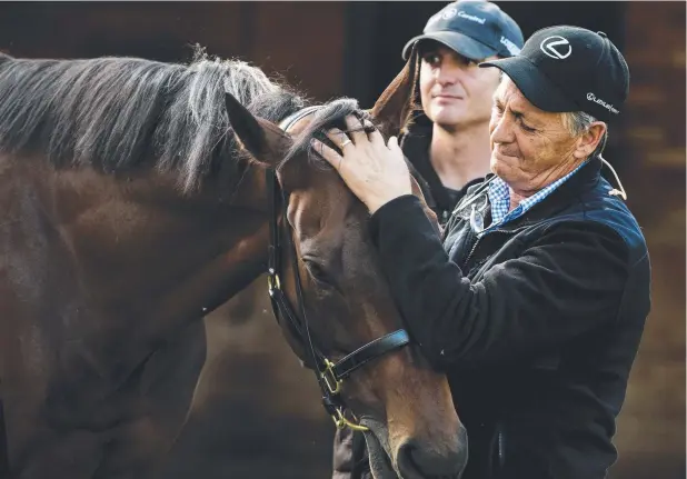  ?? Picture: JENNY EVANS ?? MASTER TRAINER: Peter Snowden, pictured with The Everest winner Redzel, is eager to see how Bondi goes in the Wyong Magic Millions (1100m).