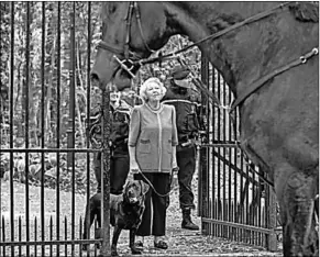  ??  ?? Prinses Beatrix bij kasteel Drakenstey­n in Lage Vuursche. (Foto: De Telegraaf)