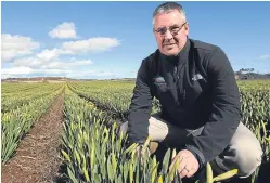  ?? Picture: Kris Miller. ?? Mark Clark of Grampian Growers says producers rely on both flowers and bulbs for income.