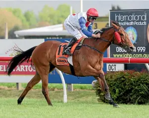  ??  ?? Savvy Coup will be in barrier five, next to Winx, in barrier six, for Saturday’s weightfor-age race at Moonee Valley.