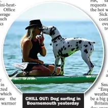  ?? ?? CHILL OUT: Dog surfing in
Bournemout­h yesterday