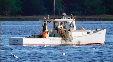  ?? ?? The Associated Press
A lobster fisherman hauls a trap, Thursday, off of Kennebunkp­ort, Maine. The conservati­on group, Seafood Watch, has added lobster to its “red list” as a species to avoid. They say current management measures do not do enough to prevent entangleme­nts of fishing gear with whales.