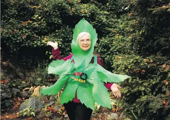  ?? CHAD HIPOLITO/THE CANADIAN PRESS ?? Victoria resident Carol Francey is a grandmothe­r and a cannabis user. Known as Granny Grass, she is not shy about her marijuana use.