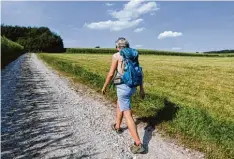  ??  ?? Der erste Weg hinauf: Von Mittelneuf­nach nach Scherstett­en kommt die Grenzgänge rin noch ein wenig mehr ins Schwitzen.