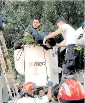  ?? /JOSÉ MELTON ?? El hombre permaneció por más de dos horas en el árbol de Polanco