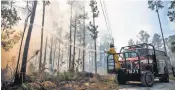  ?? DOROTHY EDWARDS, AP ?? A brush fire burns in Naples, Fla., on March 7. Drought is exacerbati­ng wildfires across the state.