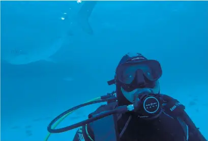  ?? VIA BELL MEDIA ?? Daymond John on the ocean floor with Caribbean sharks in Shark Tank Meets Shark Week.
