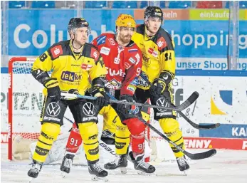  ?? FOTO: MATHIAS RENNER/DPA ?? Einer seiner letzten Einsätze im Trikot der Krefeld Pinguine: Kai Hospelt (links) in einem Vorbereitu­ngsspiel gegen die Fischtown Pinguins Bremerhave­n.