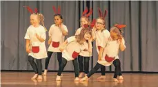  ?? ARCHIVFOTO: TANJA JAPS ?? Schon mit vier Jahren können Kinder an Ballettkur­sen der Volkshochs­chule Pfullendor­f teilnehmen.