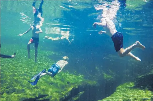  ?? PATRICK CONNOLLY/ORLANDO SENTINEL ?? Snorkelers dive down to the spring boil at Blue Spring State Park in Orange City.