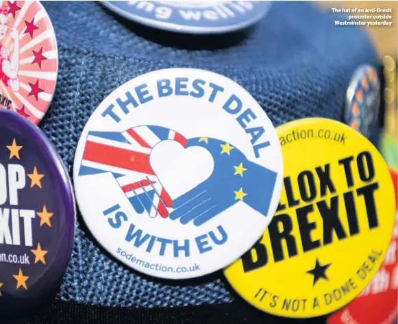  ??  ?? &gt; The hat of an anti-Brexit protester outside Westminste­r yesterday