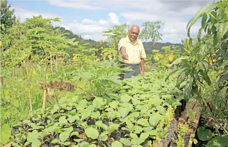  ?? Dau ni veitaba: Wati Talebula ?? E dusia tiko o Josateki Pena Keteca na nona itei ni baigani e na yasa ga ni nona vale, ka sa vakarau veisoliyak­a tiko vei ira na lewenivanu­a me ra qai la’ki teivaka.