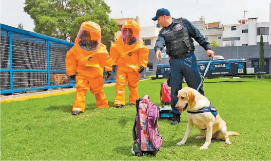  ?? o FOTOGRAFÍA JAVIER RÍOS ?? Uno de los agentes perrones durante el entrenamie­nto en la Unidad Canina de la División de Fuerzas Federales.