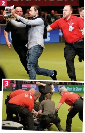  ??  ?? Collared: Stewards catch the activist as he waves a sign that says ‘Crufts: canine eugenics’, top, and pull him to the ground