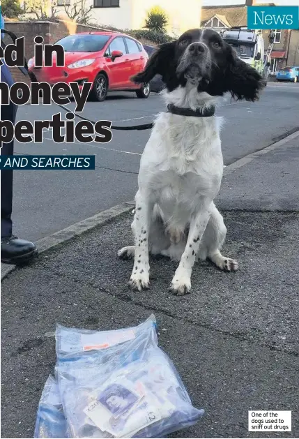  ??  ?? One of the dogs used to sniff out drugs