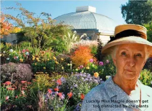  ??  ?? Luckily Miss Marple doesn't get too distracted by the plants