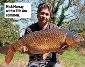  ??  ?? Mick Murray with a 31lb 4oz common.