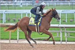  ?? JAMIE RHODES/USA TODAY SPORTS ?? An exercise rider works Kentucky Derby entry Taiba during morning workouts at Churchill Downs.