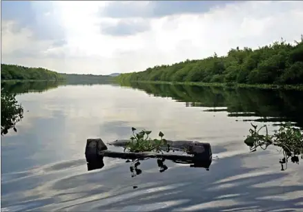  ?? AFP ?? A discarded sofa floats in a river that flows into Guanabara Bay in Rio de Janeiro, Brazil, on March 20.