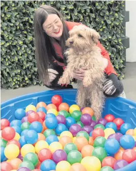  ??  ?? Jackie McKinley with her pooch Charley in the new Hotel For Dogs in Carndonagh