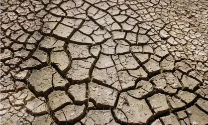  ??  ?? A new climate forecast predicts annual global temperatur­es are likely to be at least 1C above pre-industrial levels in each year between 2020 and 2024, leading to more extreme weather such as droughts. Photograph: Phil Walter/Getty Images