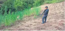  ??  ?? OPERATIVO. En la aldea Subirana estaba el cultivo de marihuana.